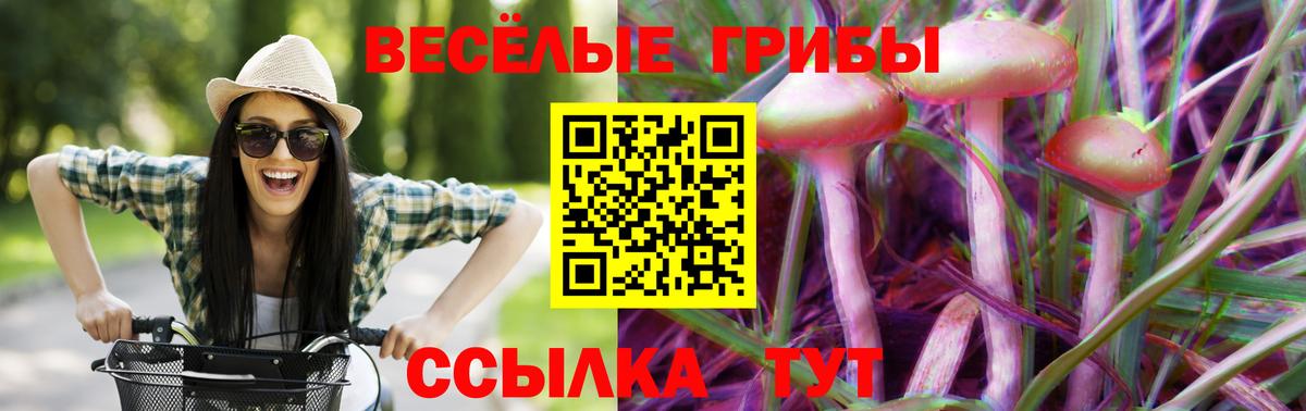 Псилоцибиновые грибы прущие грибы Чебаркуль